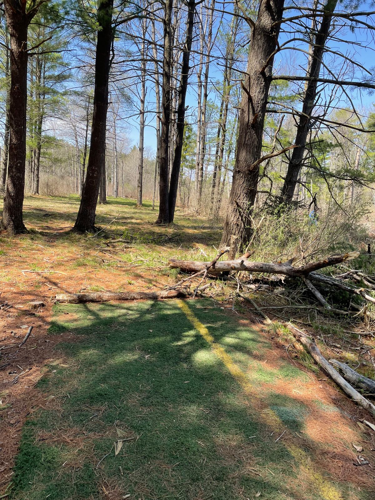 Hole 7, Orange (Short) tee.