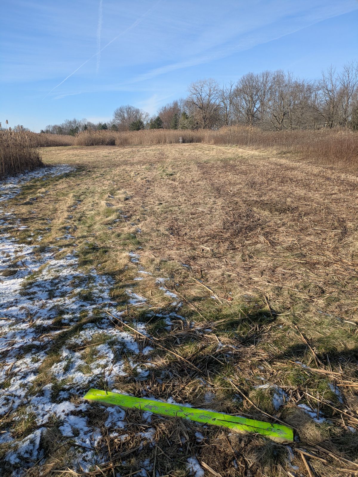Hole 6 teepad