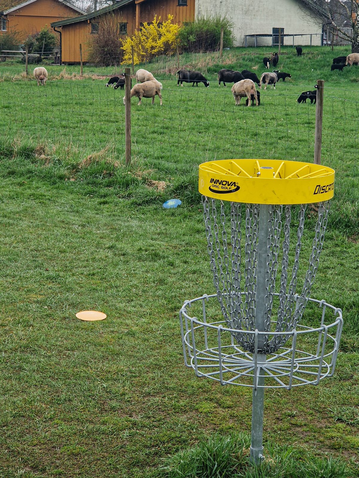 Hole 2