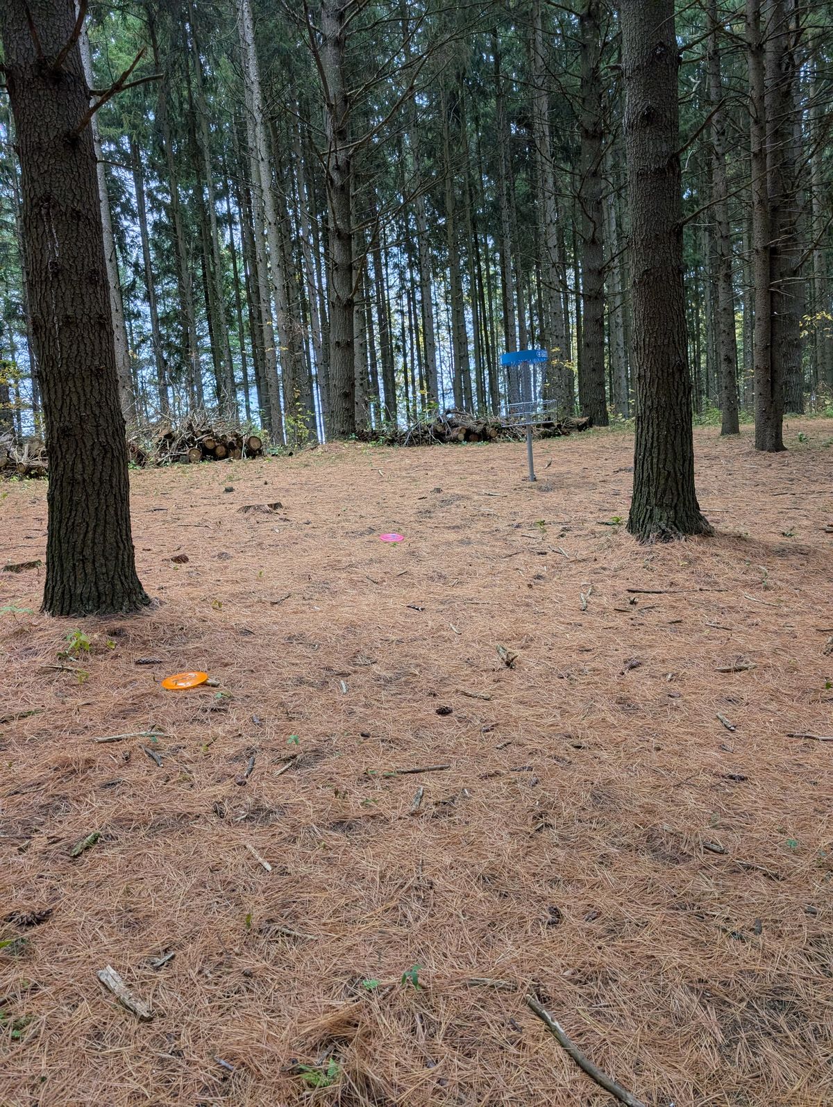 I was happy with where my pink disc landed