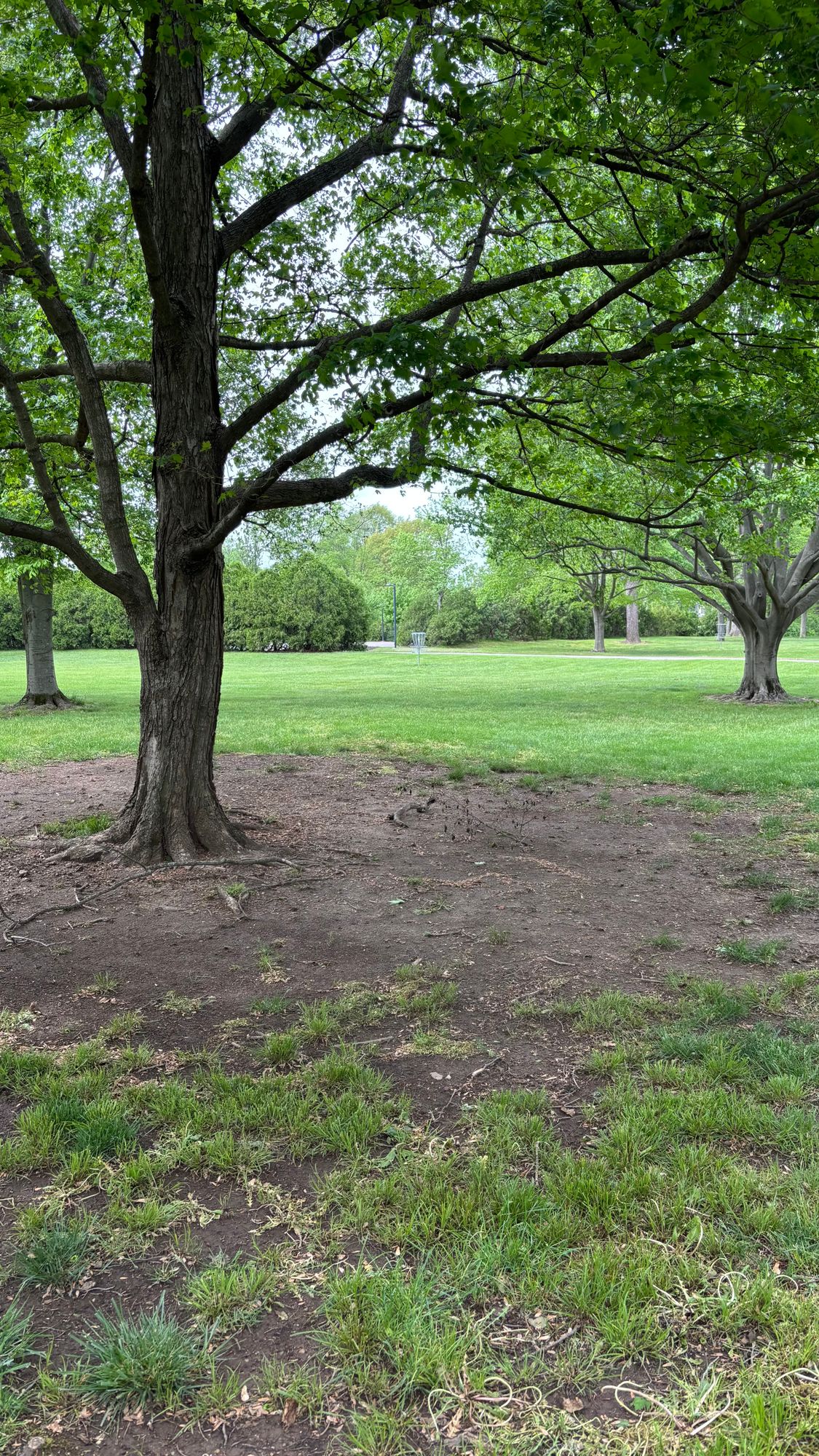 Hole 5