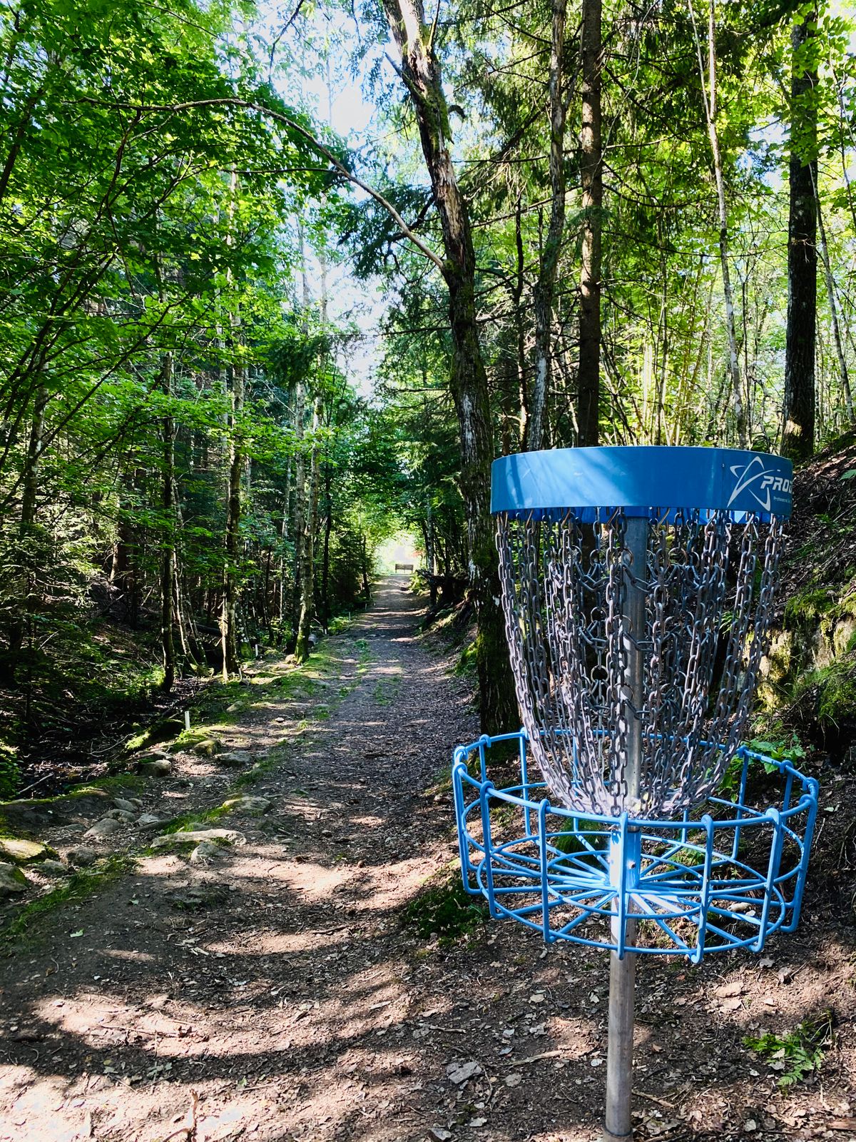 Hole 4