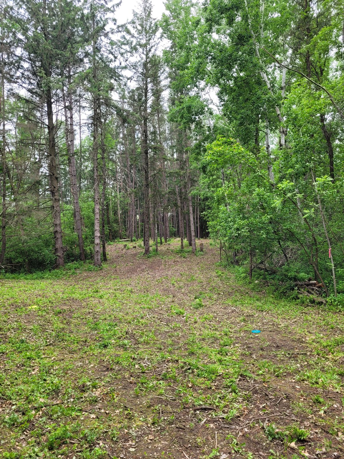 Hole 1