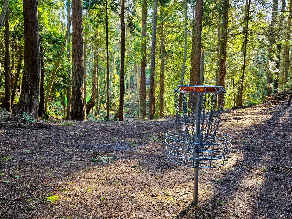 Blue 9 basket