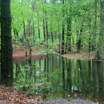 Hole 14 when the creek is full 
