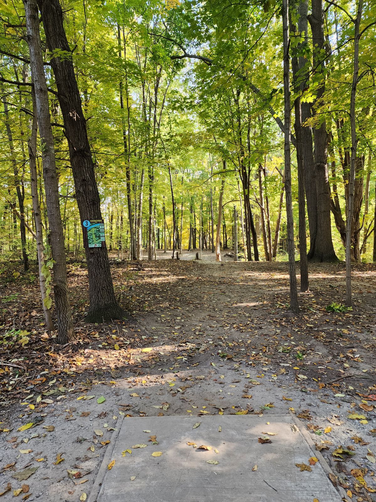 Hole 3 Teepad View