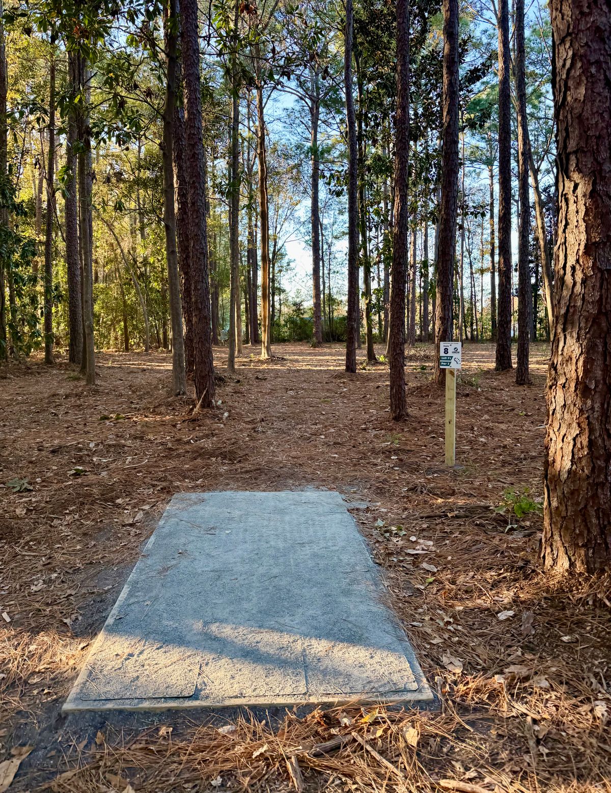 Hole 8 Short
169 ft
Par 3