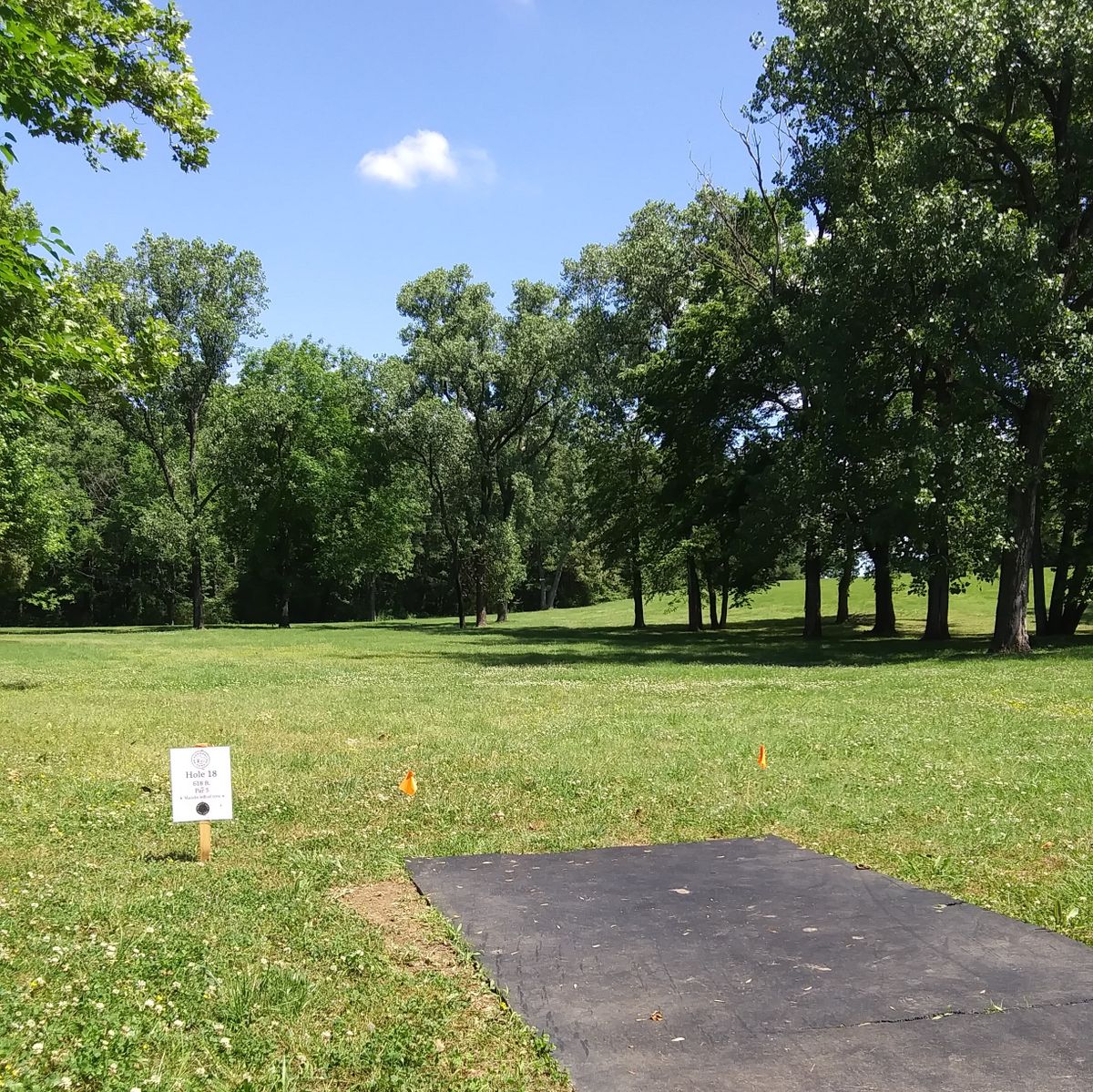 Much like hole 17, for hole 18 one must hit another tight gap going back into the woods. Stay left of the mando tree on the right.