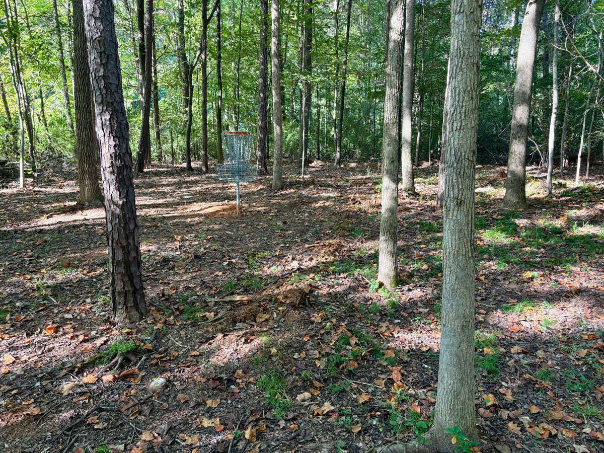 Hole 7 approach