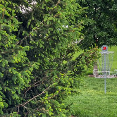 Hole 3