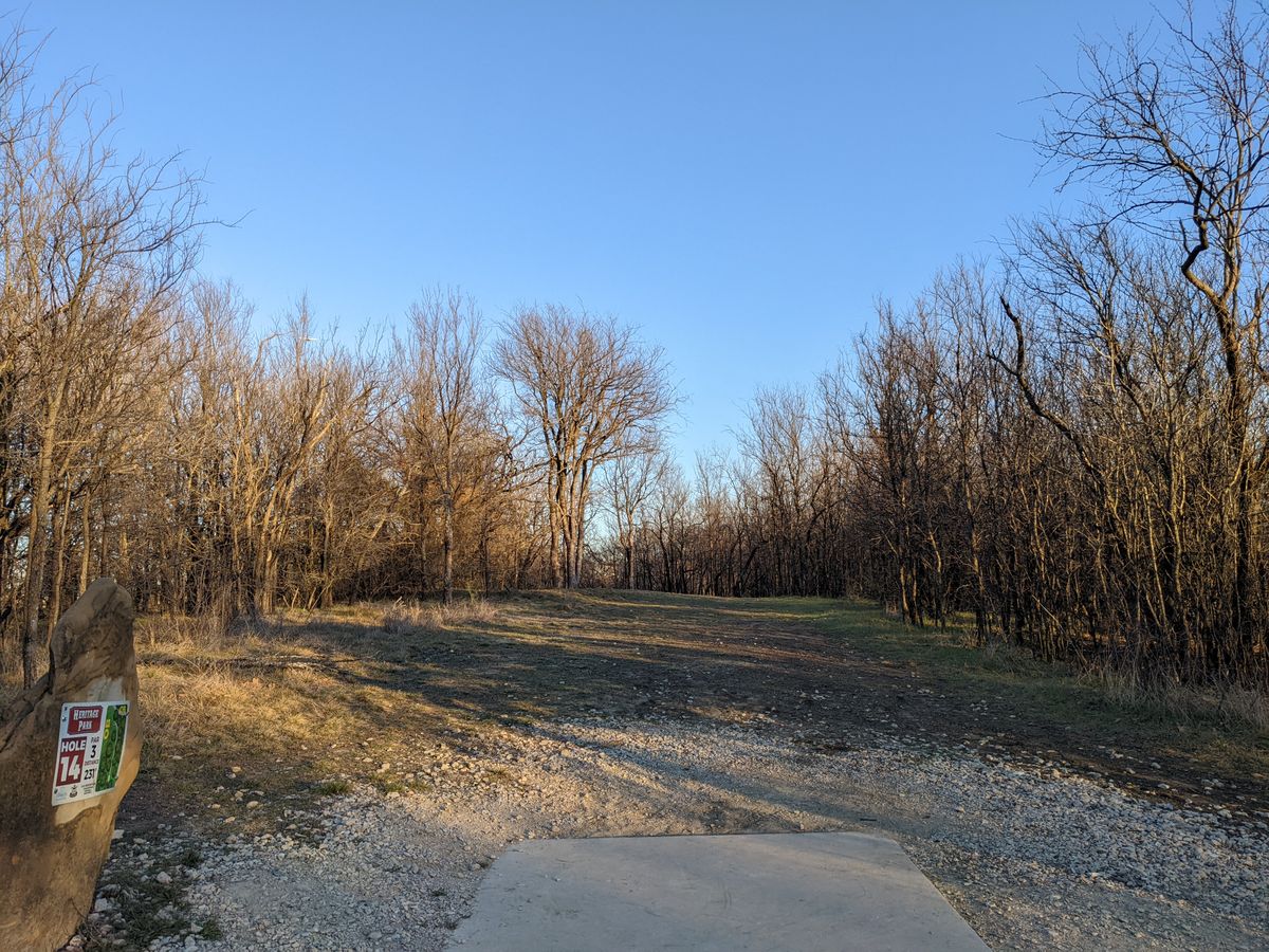 Hole 14 - dogleg left, open basket.