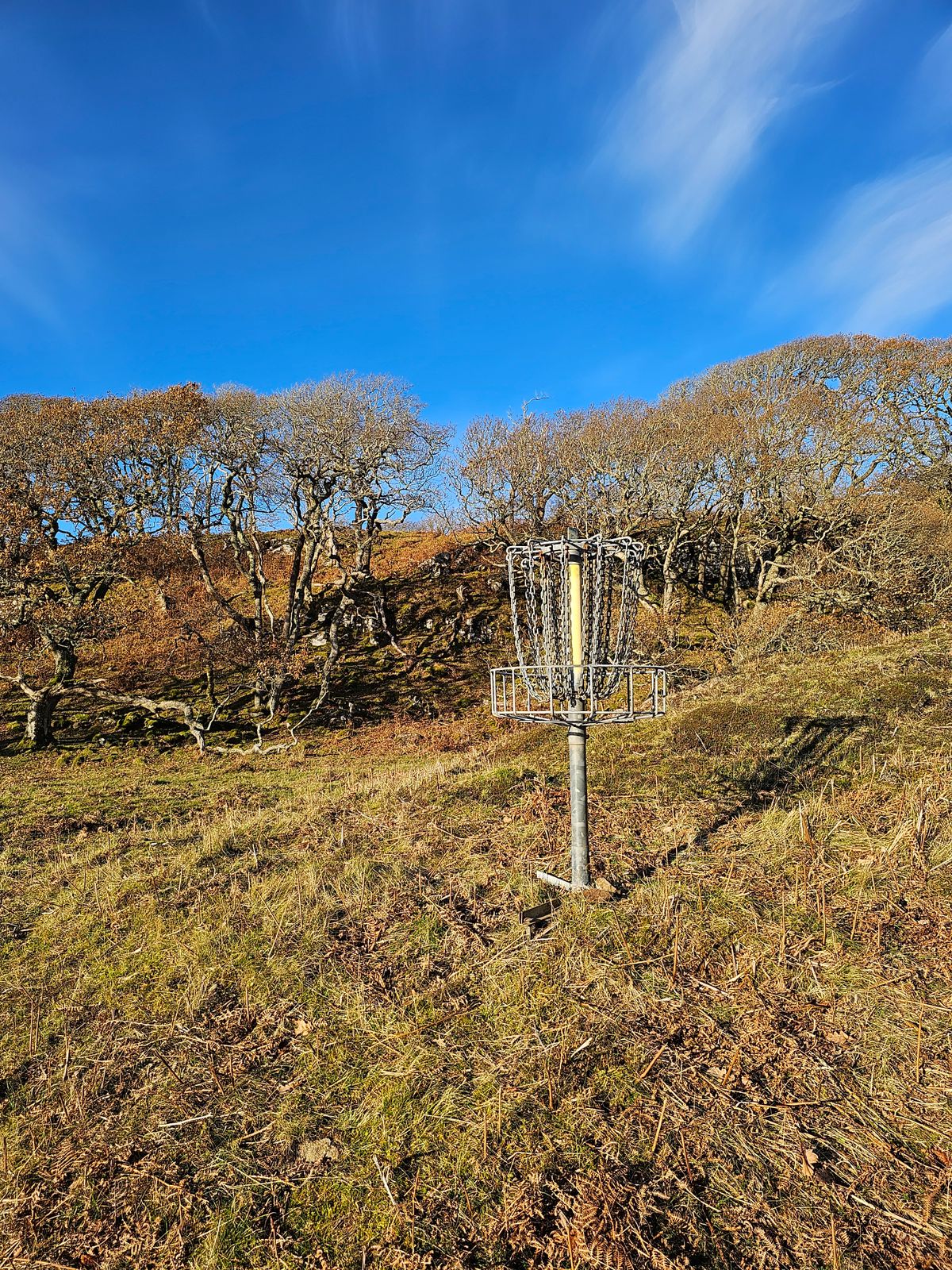 Hole 5 basket