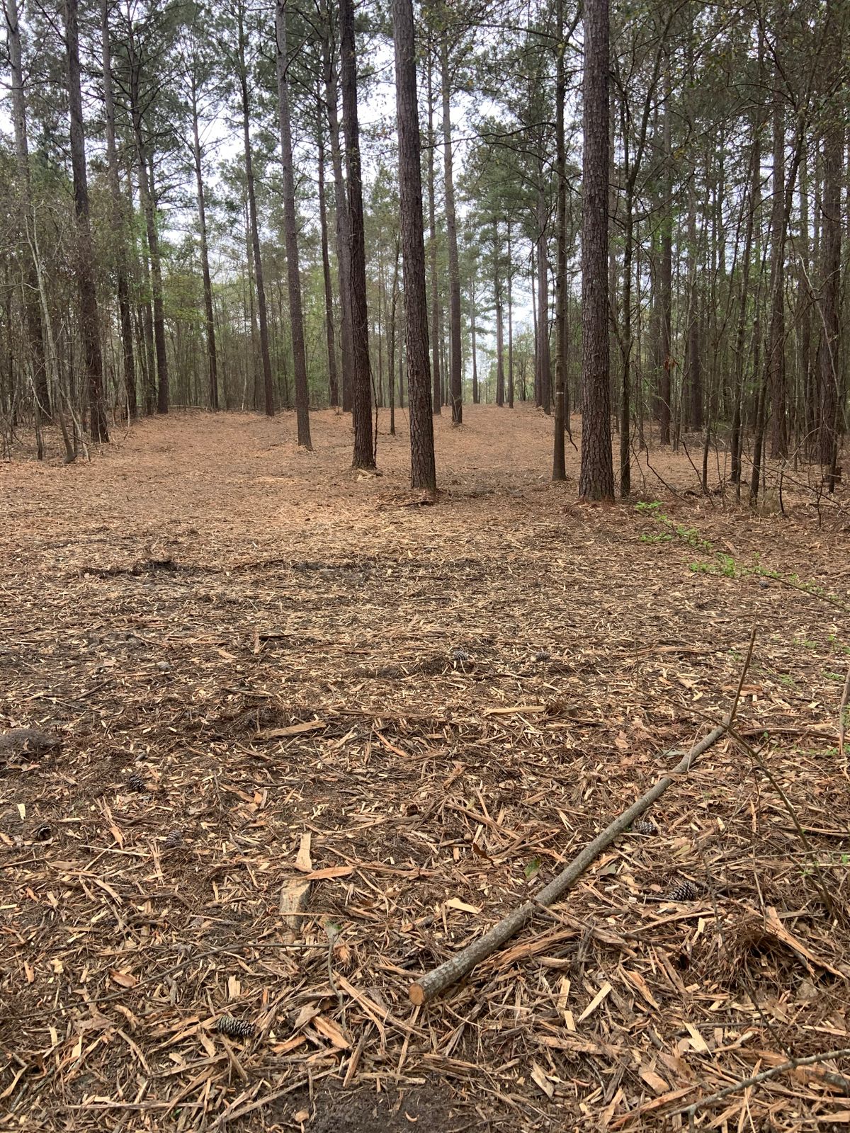 Hole 8 Advanced Course - 20’ elevation change