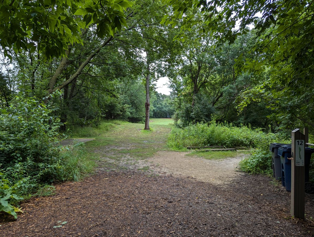 Hole 12 tee