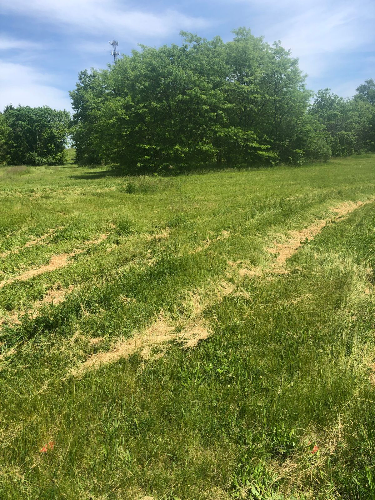 Hole 14 red tee