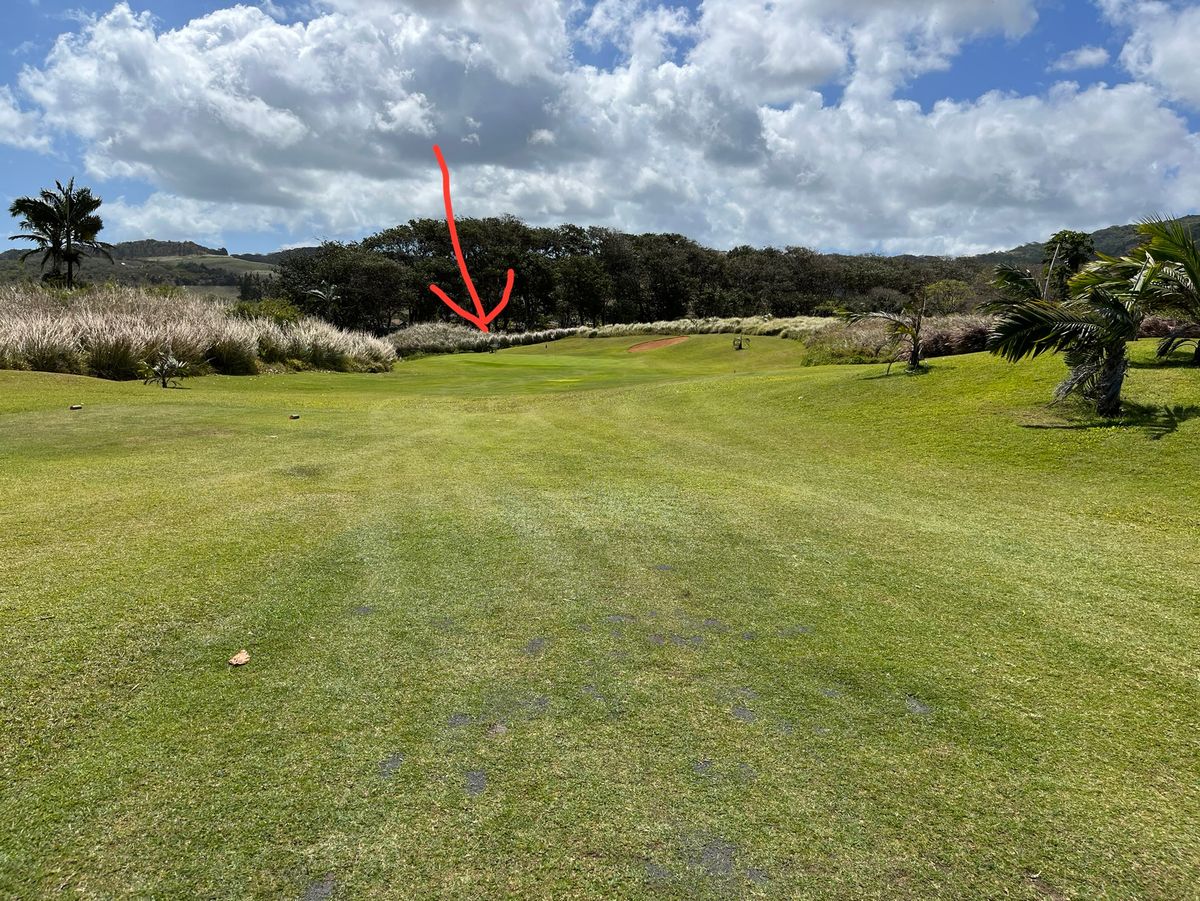 Hole 4