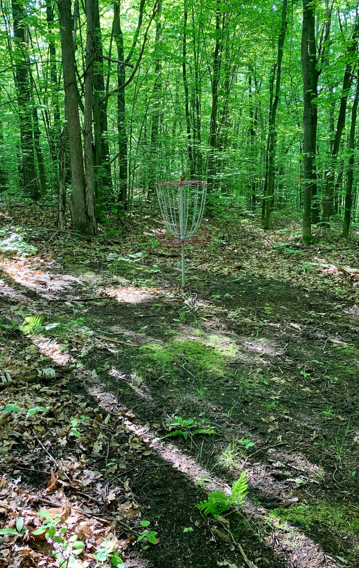 Hole 2