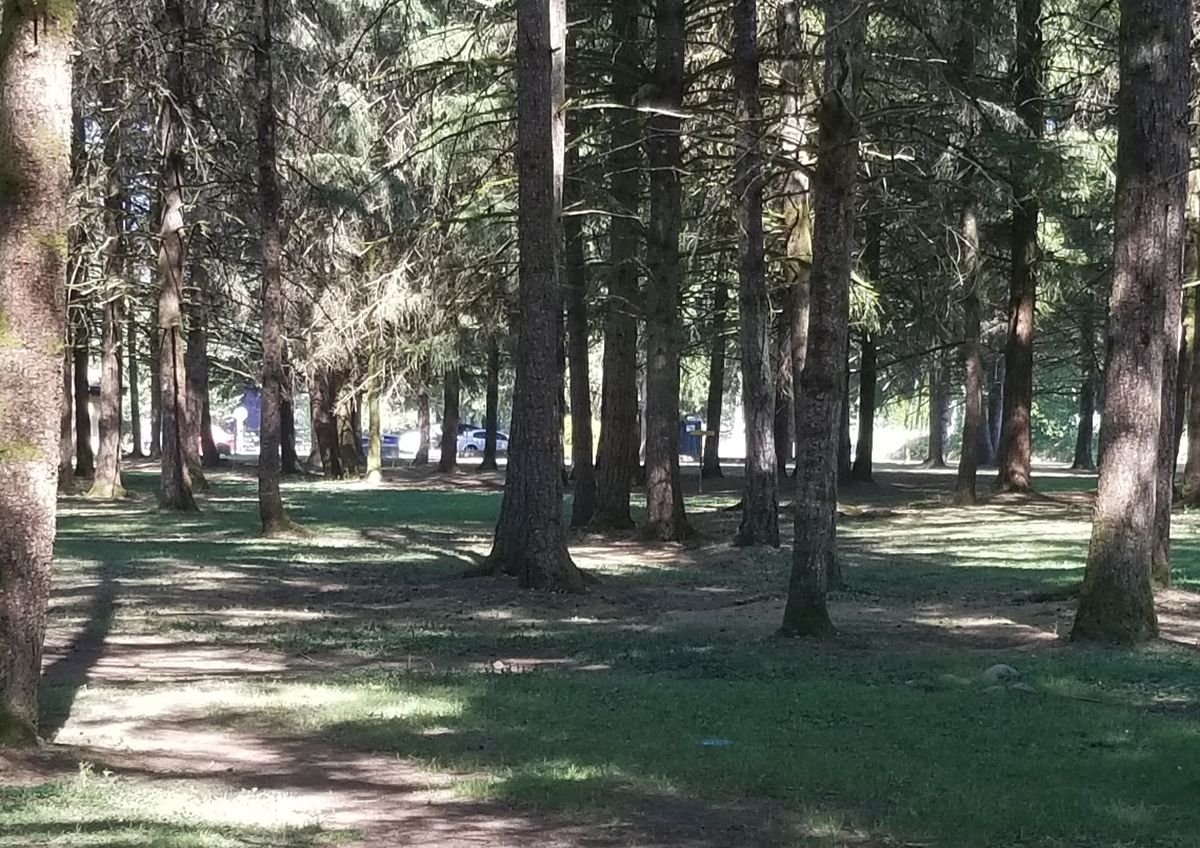 8th hole from tee box