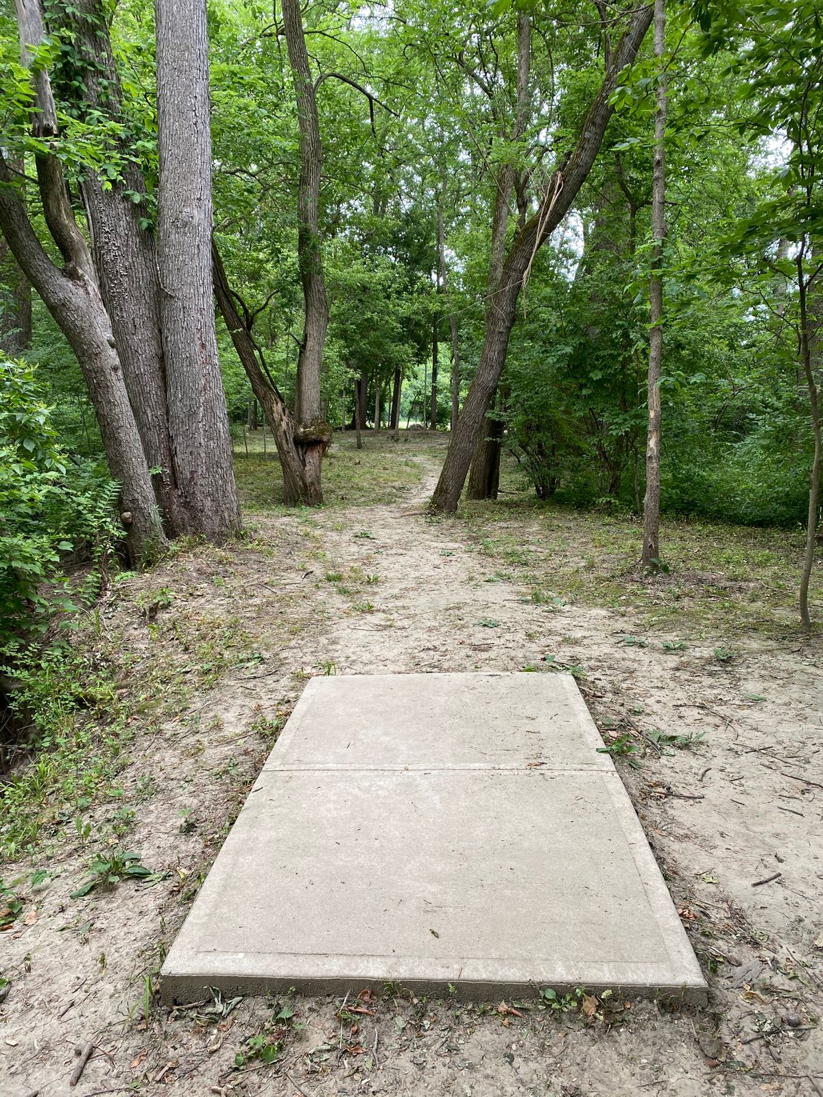 Additional Hole B (Tee Box)