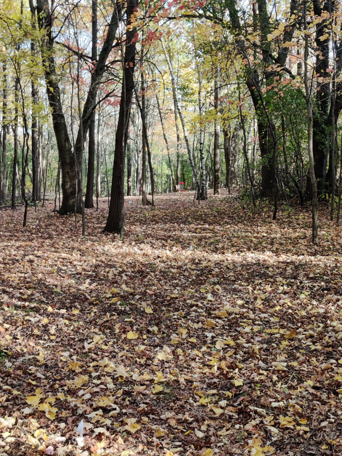 12 Fairway