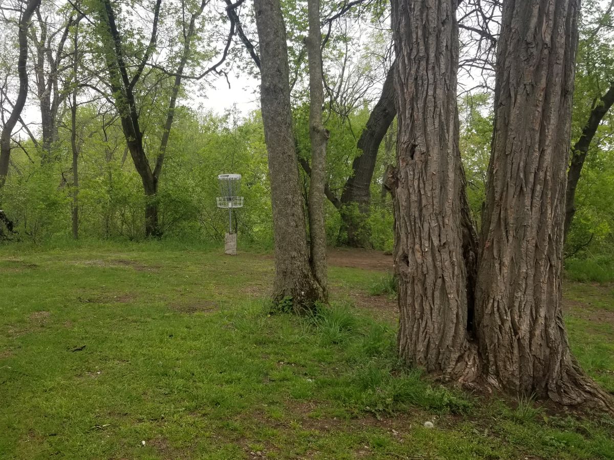 New location of hole 6