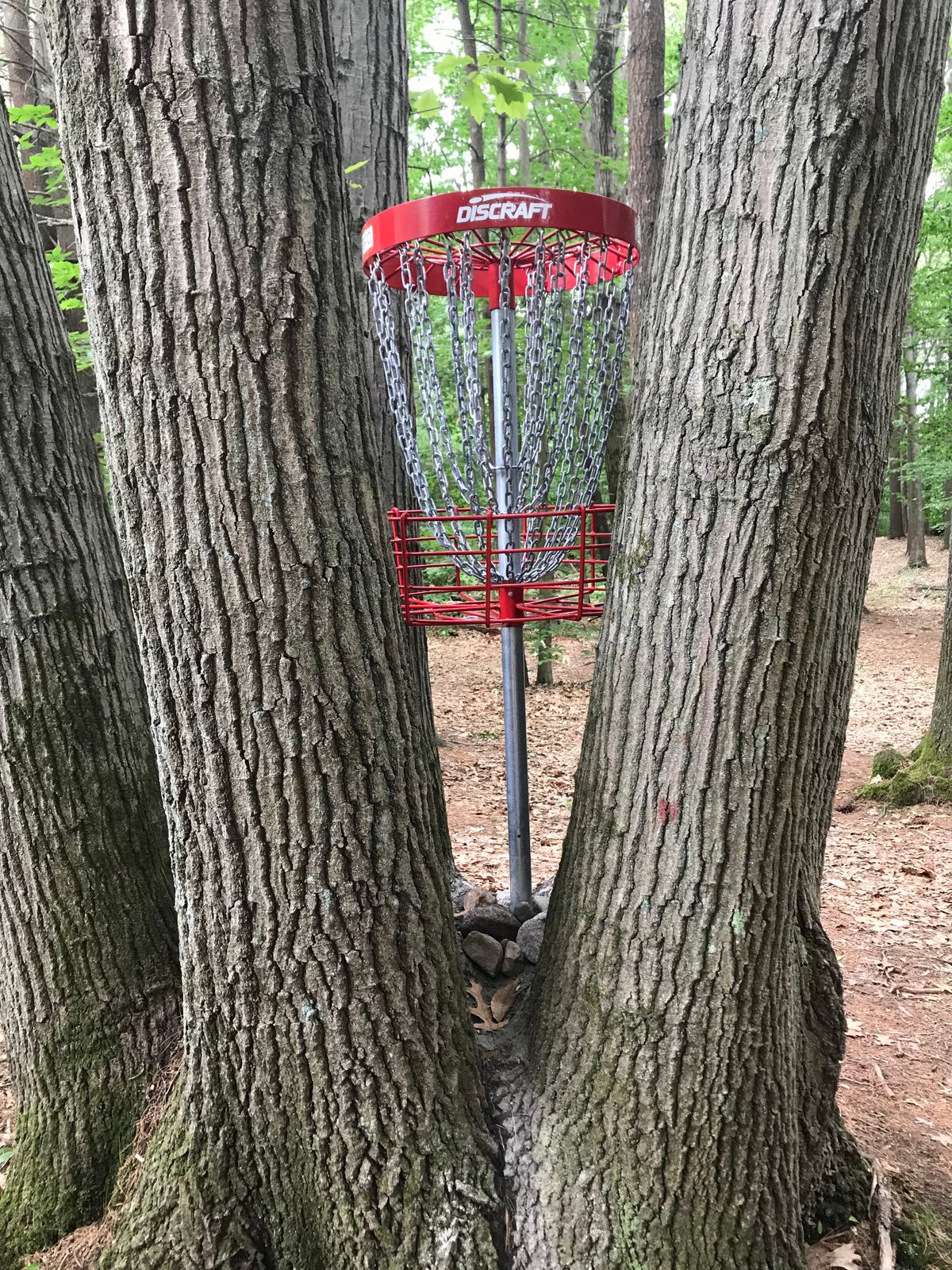 Pretty cool, huh?