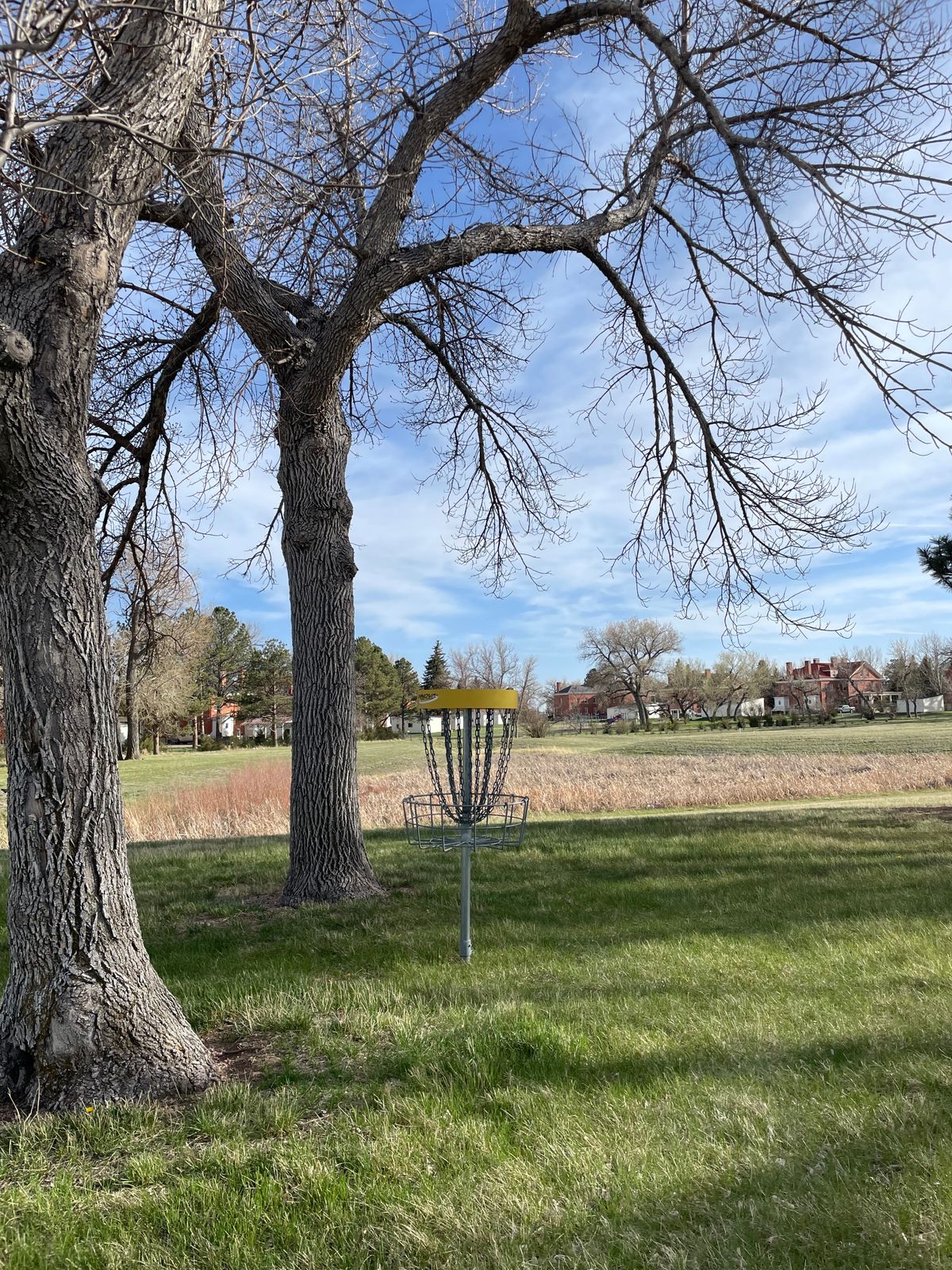 Hole 13 basket looking back towards the tee pad across the marsh
