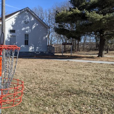 Newton School & basket 4