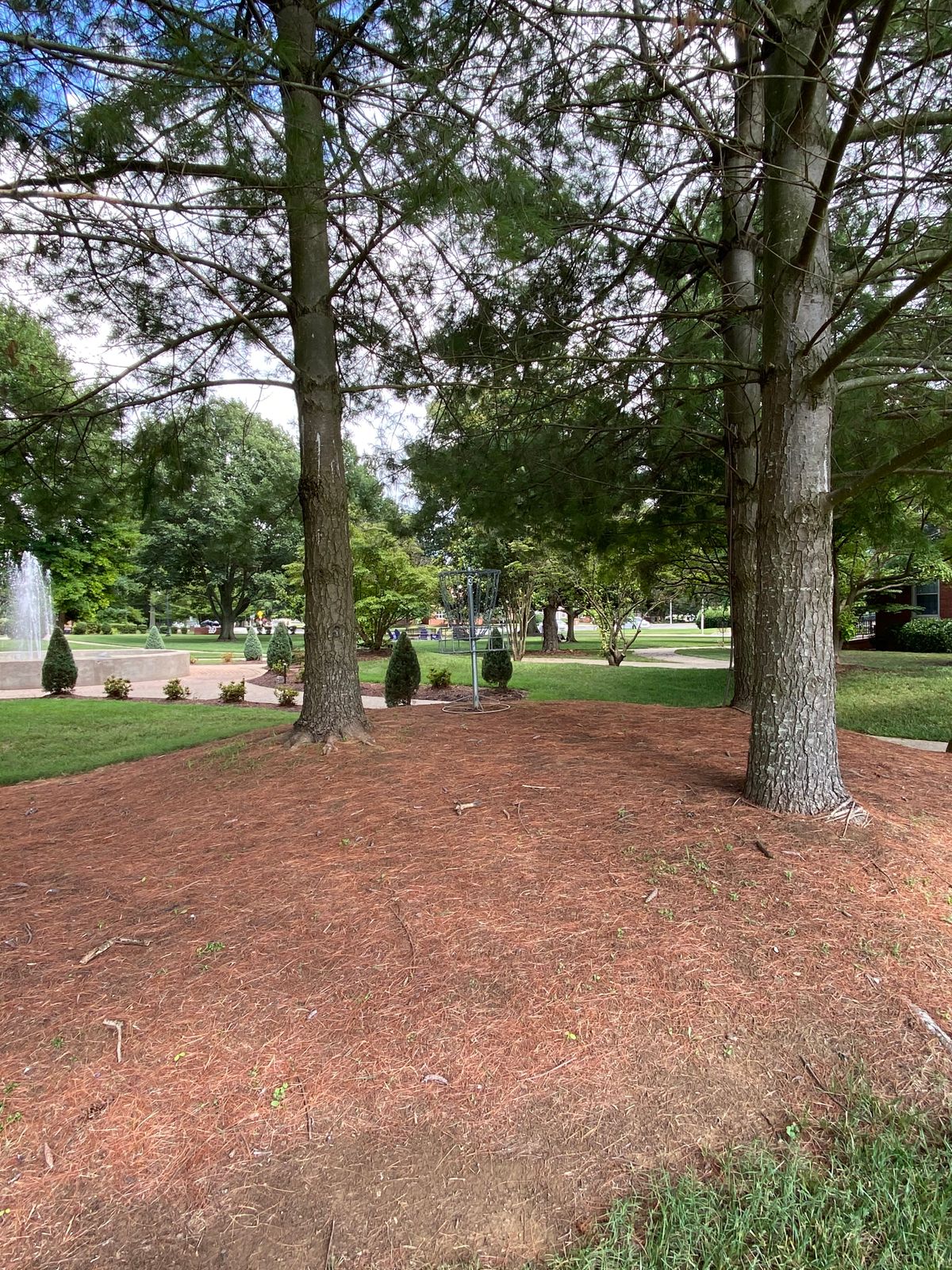 Hole 16  green