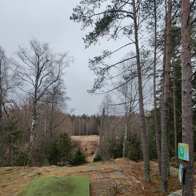 Course photo