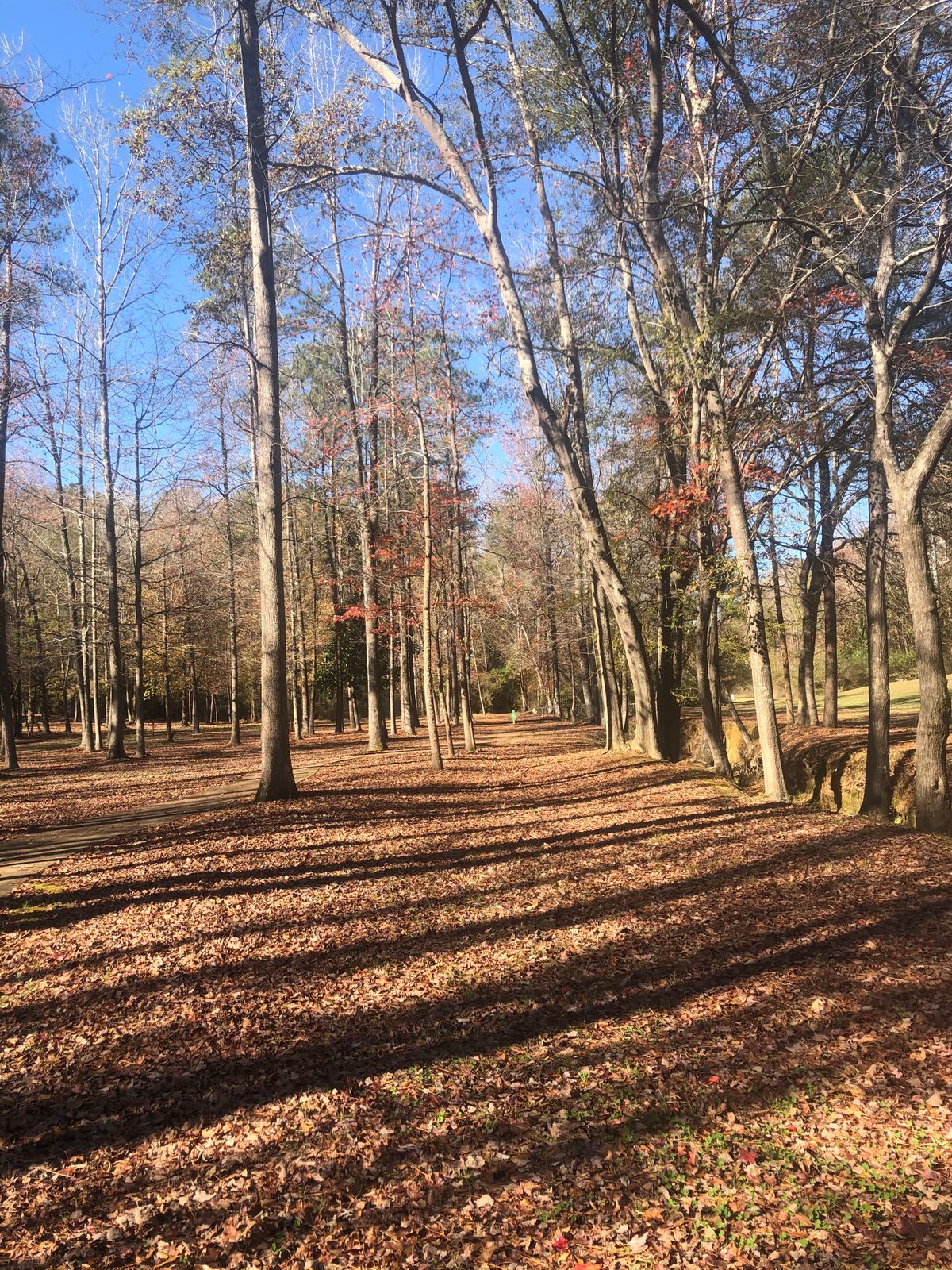 Hole 15