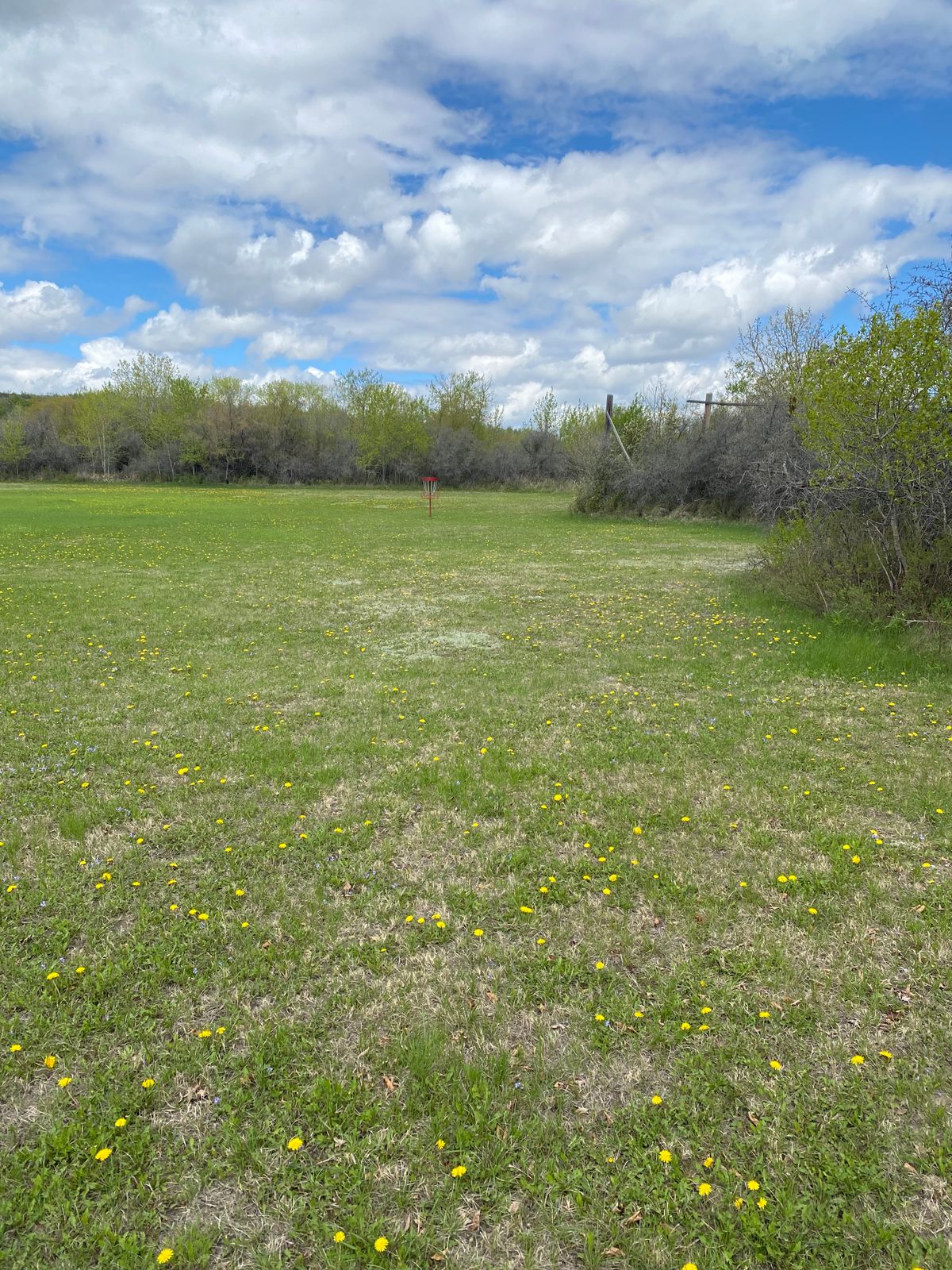 Hole 6