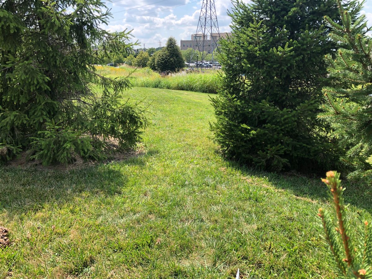 Hole 12 tee