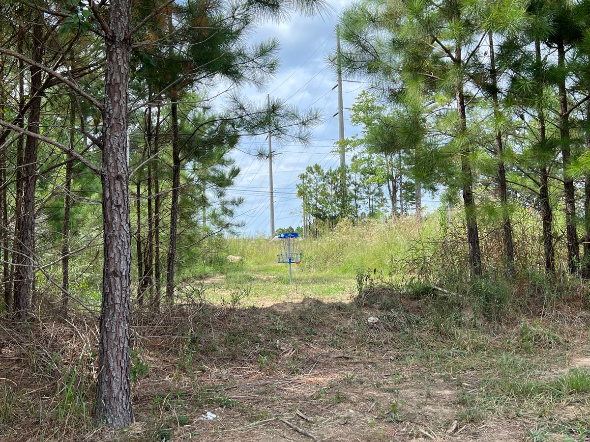 Hole 16’s Green