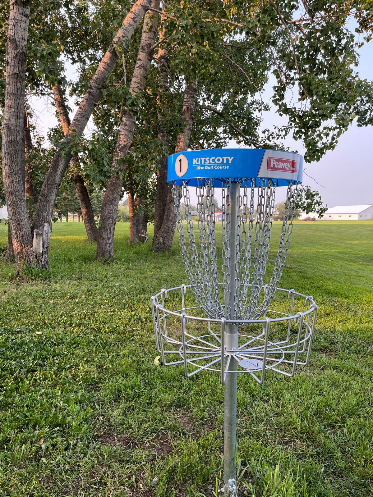 Basket - Looking back at tees
