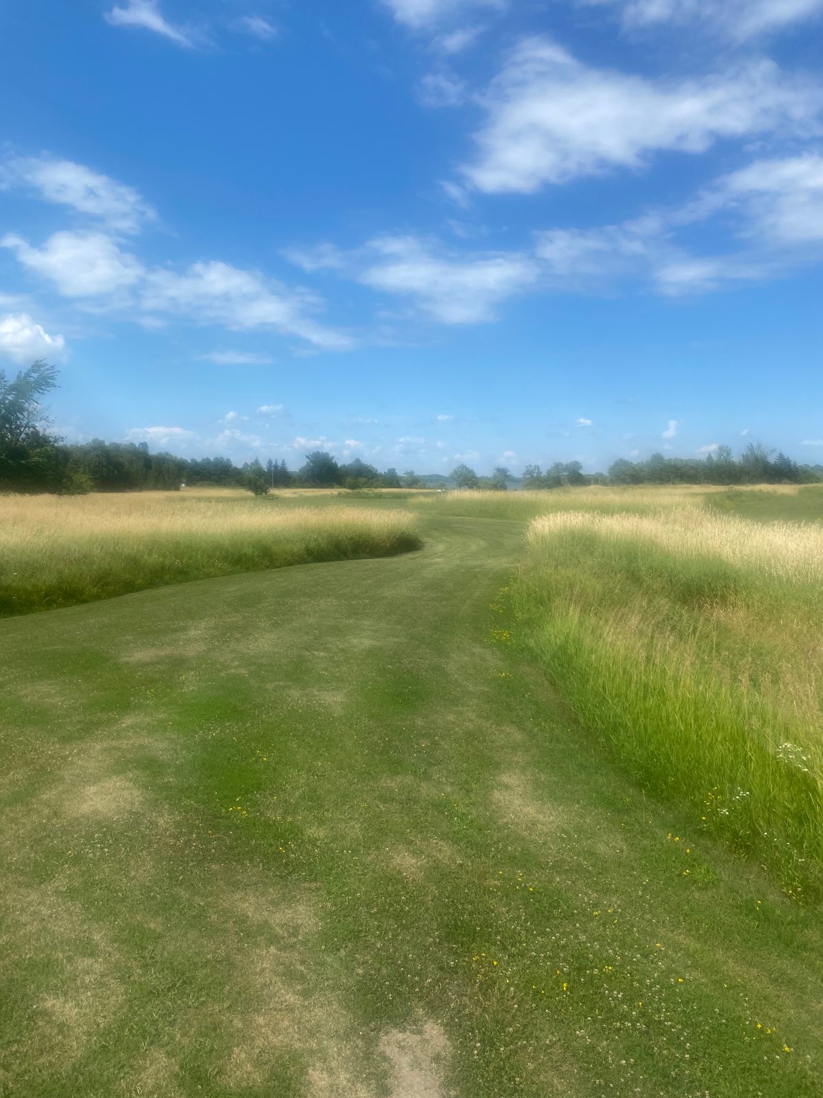 7th hole