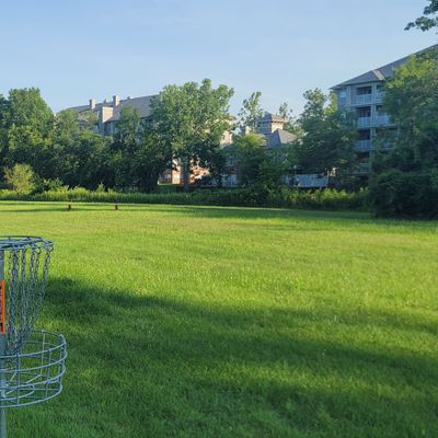 Basket view from Hole 1.