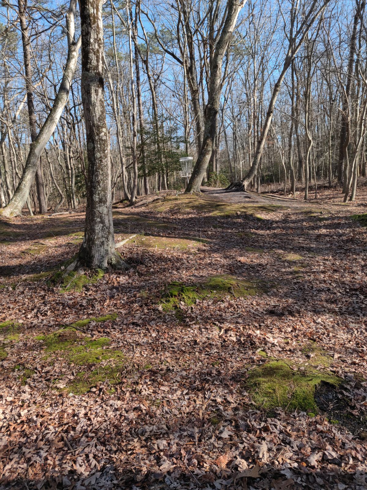 Hole 6 fairway