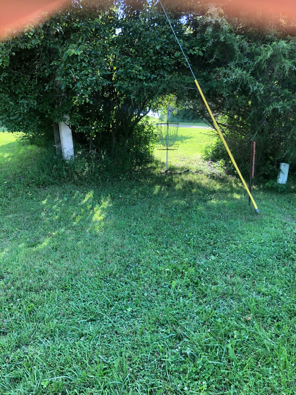 Basket Hole 1 (under the bushes)
