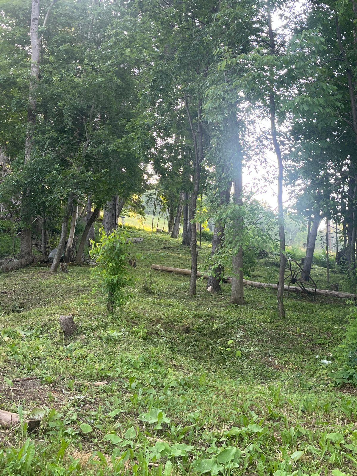 Hole 13 upper fairway