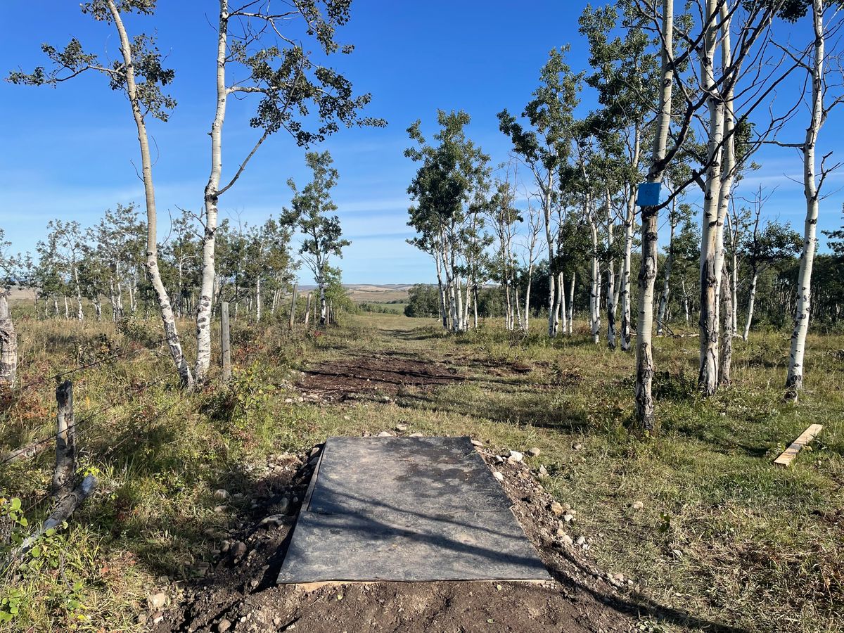 Hole 12 tee pad