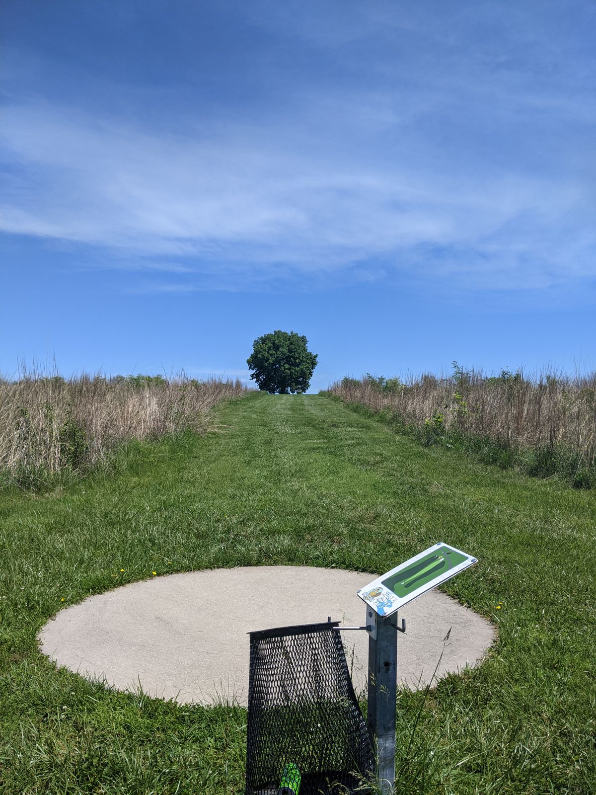 Tee 5