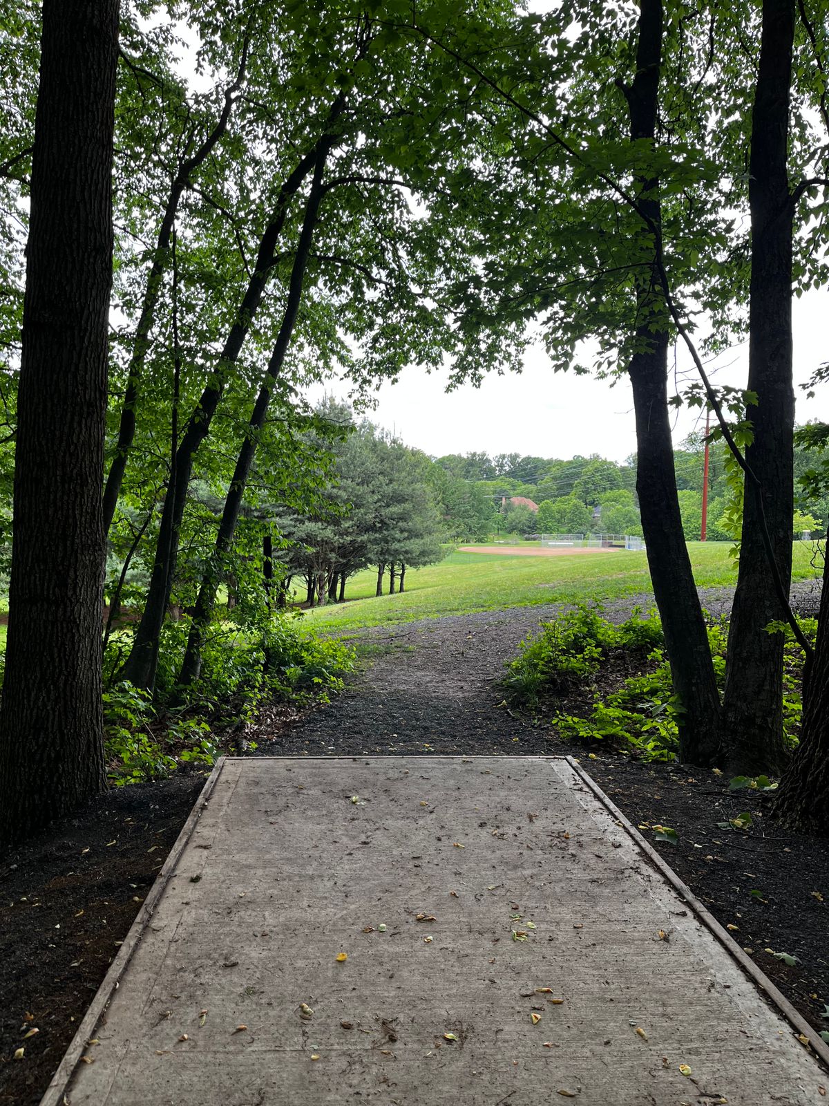 Hole 11 tee
