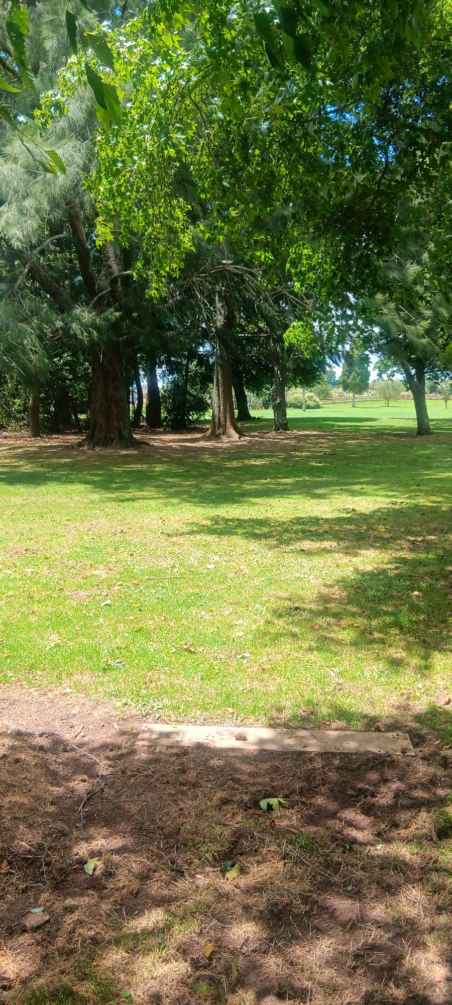 Hole 9 tee shot basket just visible on left side of photo