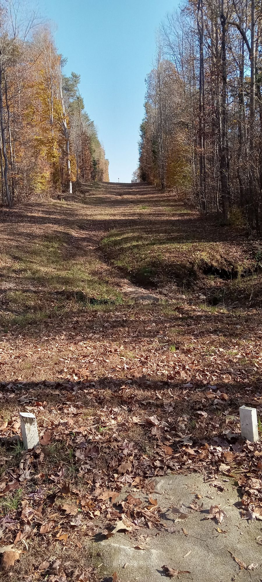 Hole 8