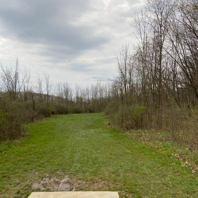 Tee of hole 14. 291 feet. Straight shot. Missing right is less dense than missing left.