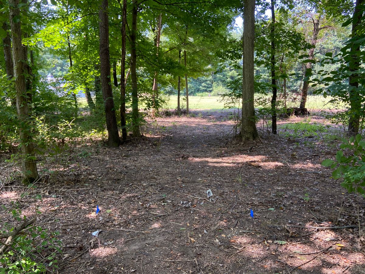 Hole 2’s tee pad
