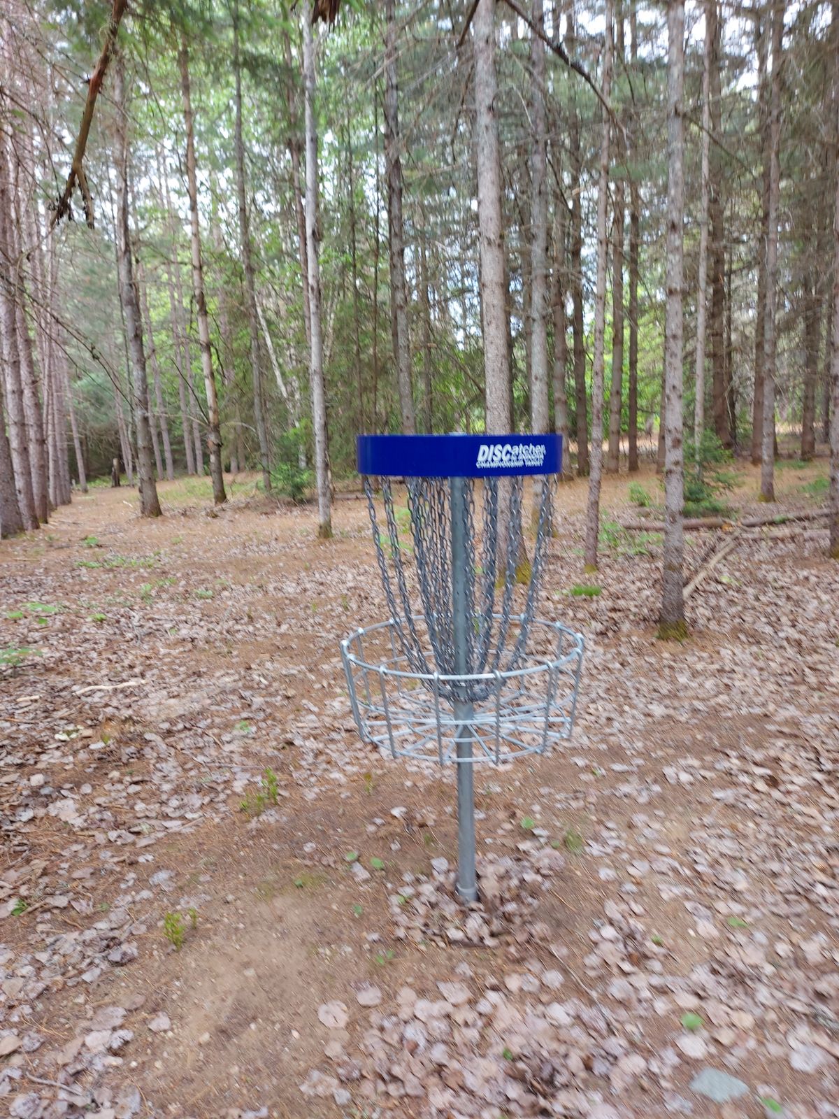 Reverse back up the fairway on hole 17.🌲🌲🌲🌲