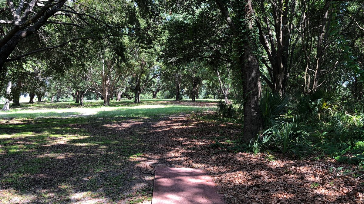 Hole 13 Red Tee