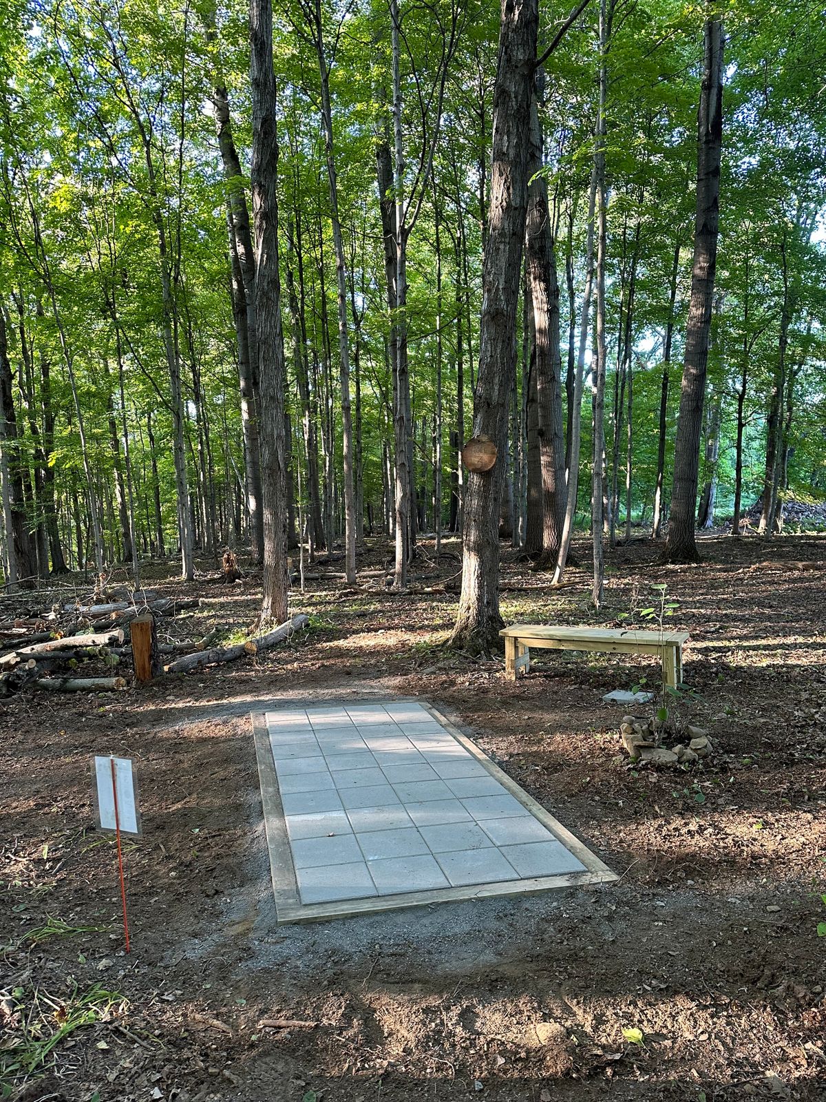Hole 7 looking back at tee